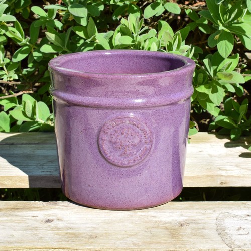 Plant pot ceramic 20cm purple - plant,