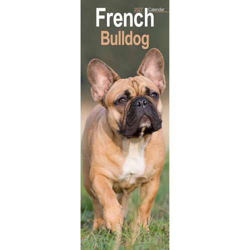 French bulldog slim 2027 - slim,