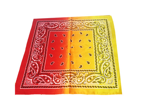 Red yellow paisley fancy dress - red,