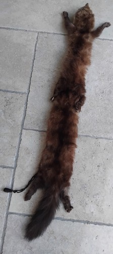 Vintage mink fur - skin, /