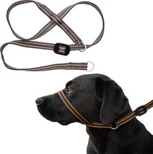 Medium Size Anti Pull Dog