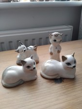Szeiler CATS X4