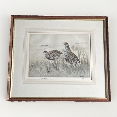 Partridges game birds signed - partridges/game, birds-signed