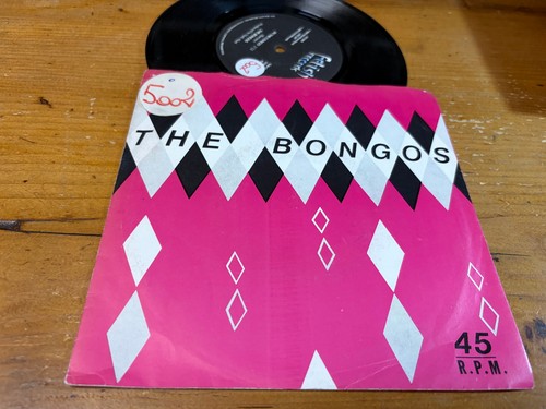 1981 the bongos in - 1981,