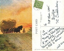 Vintage Postcard - Harvest