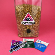 750g / 1KG / 1.5KG Rye Grain Hydrated & Sterilised - Sterile Mushroom Spawn