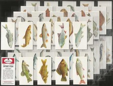 CARRERAS BLACK CAT-FULL SET- SPORT FISH 1978 (50 CARDS) EXCELLENT+++