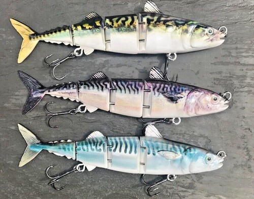 Life like mackerel - life, joey