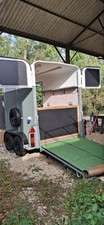 Newly Converted Horse