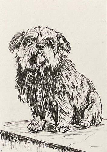 Aceo ink drawing - drawing, of