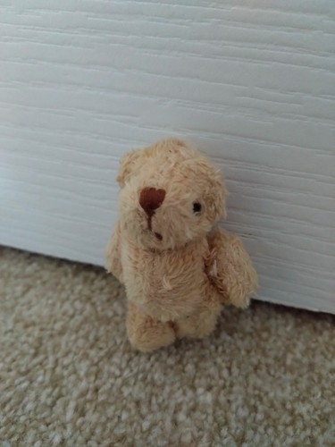 Tiny bear plush mini figure - bear,