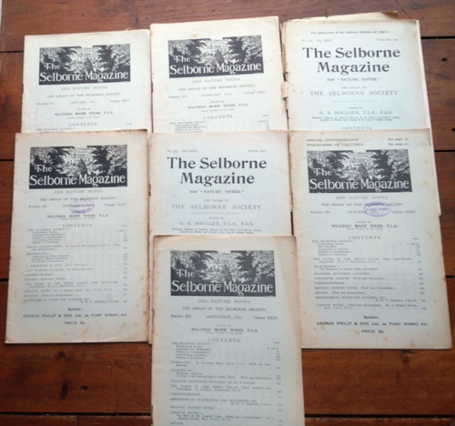 The selborne magazine - 8,