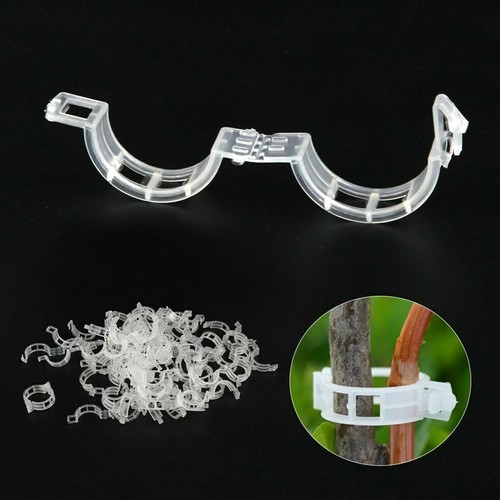25mm garden plant - 25mm, support