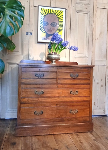 Edwardian walnut chest - edwardian,