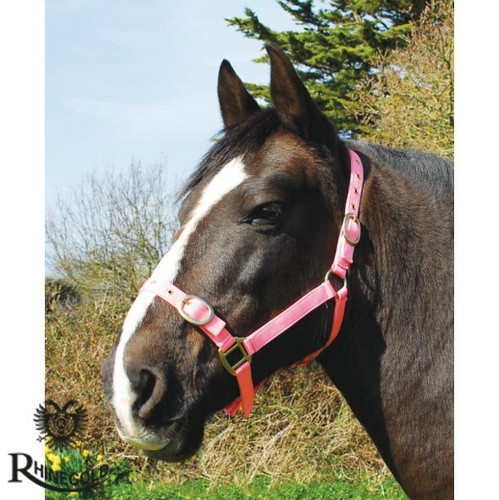 Fully adjustable nylon - fully,