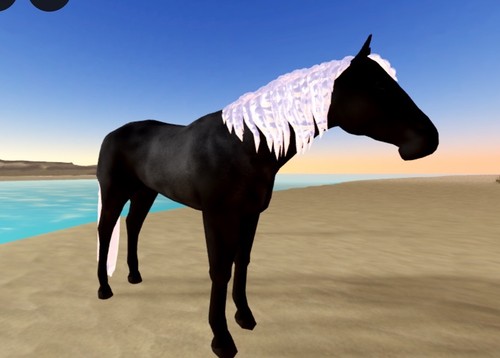 Wild horse islands - islands, iuh