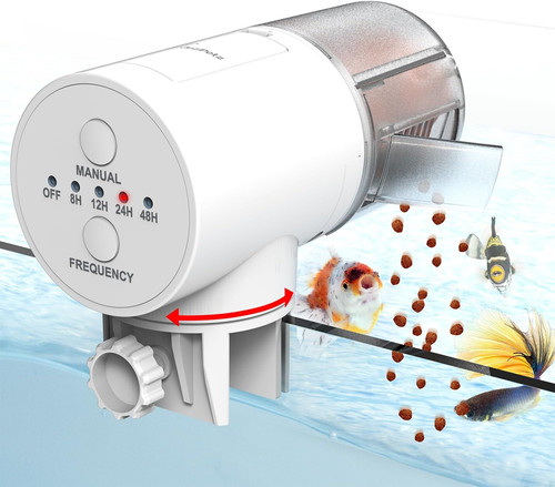 Automatic fish feeder - fish,