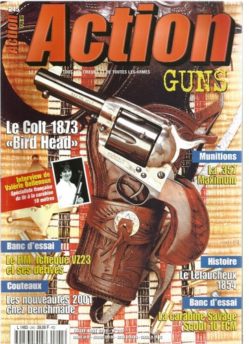 Action guns 245 - guns, 1873