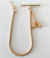 Vintage Albert Watch Chain