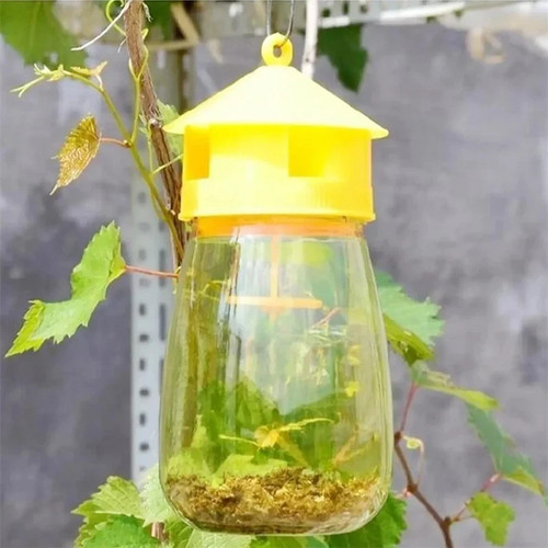 Reusable fruit fly trap - fruit, killer