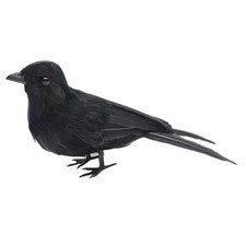 Feathered Crow for  Christmas