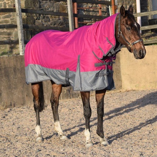 Outdoor horse turnout durable - outdoor,