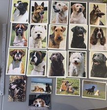 Job Lot 20 Dog Postcards –