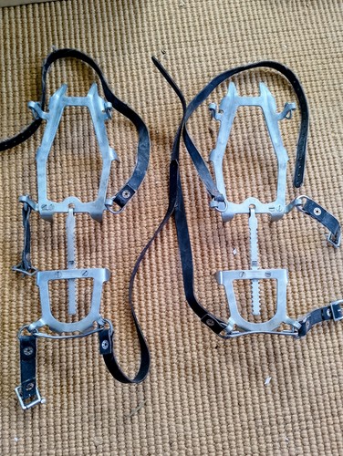 Vintage point salewa - vintage, 12