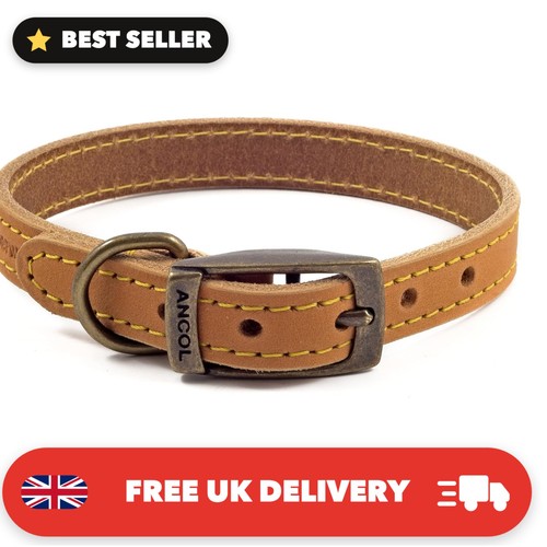 Timberwolf leather dog collar - timberwolf,