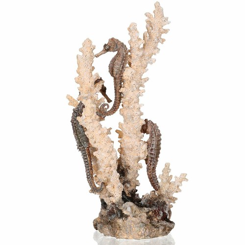 Biorb seahorses coral - seahorses, on