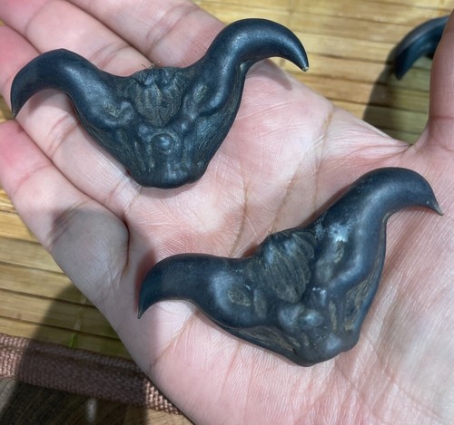 Large devil pods nut - large,