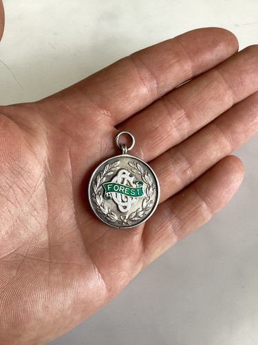 Vintage silver forest green - silver,