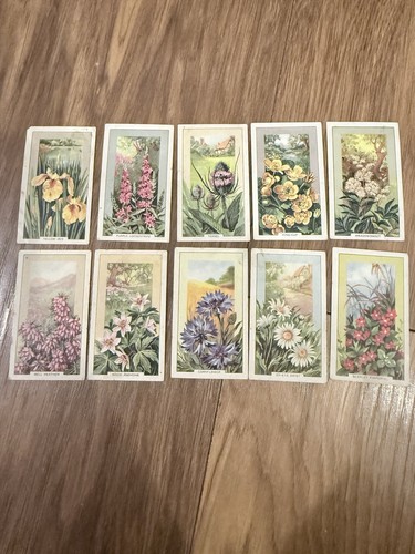 Vintage cigarette cards - 10,