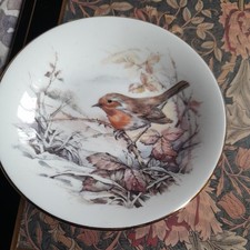 Robin Plate Winter Christmas Scene bone china 