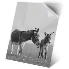 1 x Vinyl Sticker A2 - BW - Cute Donkey and Baby Animal #35580