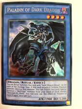 Yugioh Paladin of Dark Dragon DRL2-EN018 Secret Rare NM