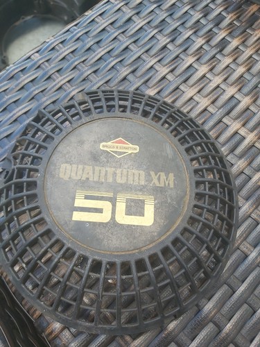Briggs and stratton quantum - briggs,