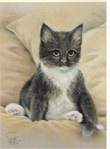 Sue willis bonnington cat - willis, –