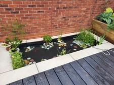 Pond Equipment For Sale