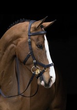 Horseware Rambo Micklem Multi
