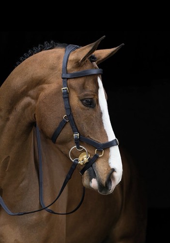 Horseware rambo micklem multi - horseware,