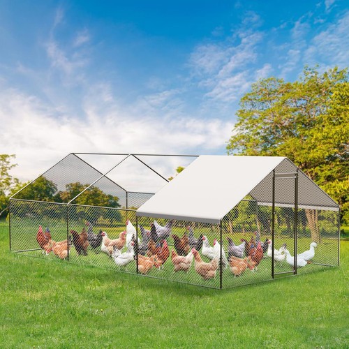 Large metal chicken - large, coop