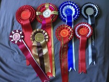 Horse Show Rosettes