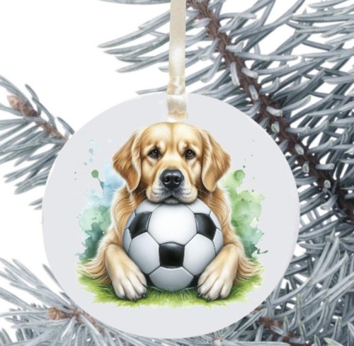 Golden retriever dog hanging - golden,