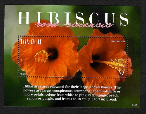 Tuvalu 2021 hibiscus - tuvalu, hibiscus,