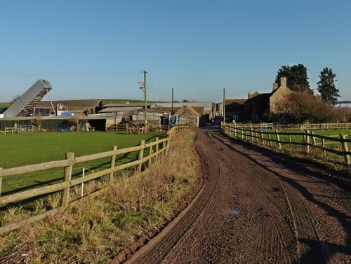 Photo 6x4 plot dairy farm - plot,