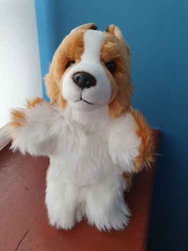 Corgi puppet corgis - 12",