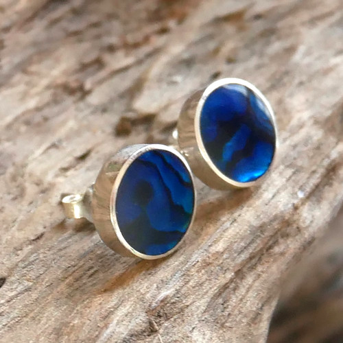 Blue paua abalone shell - abalone,