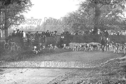 Dzz hunting royal meet - hunting,,