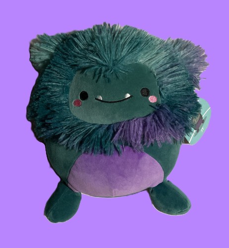 Bnwt 2024 squishmallows the - bnwt,